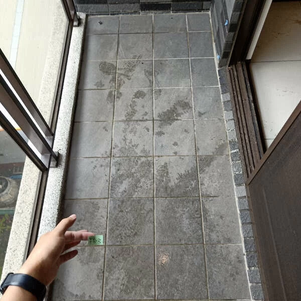 2024.07桃園平鎮電梯大樓