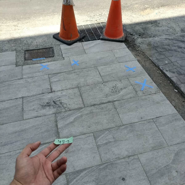 2024.07台中大甲透天別墅