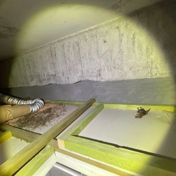 2024.07台中大甲透天別墅