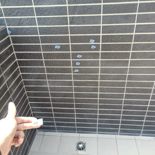 2024.07台中大甲透天別墅