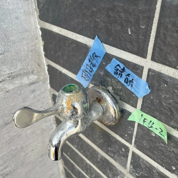 2024.07台中大甲透天別墅