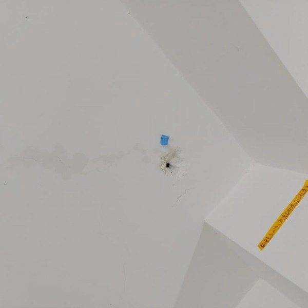 2024.07台中大甲透天別墅